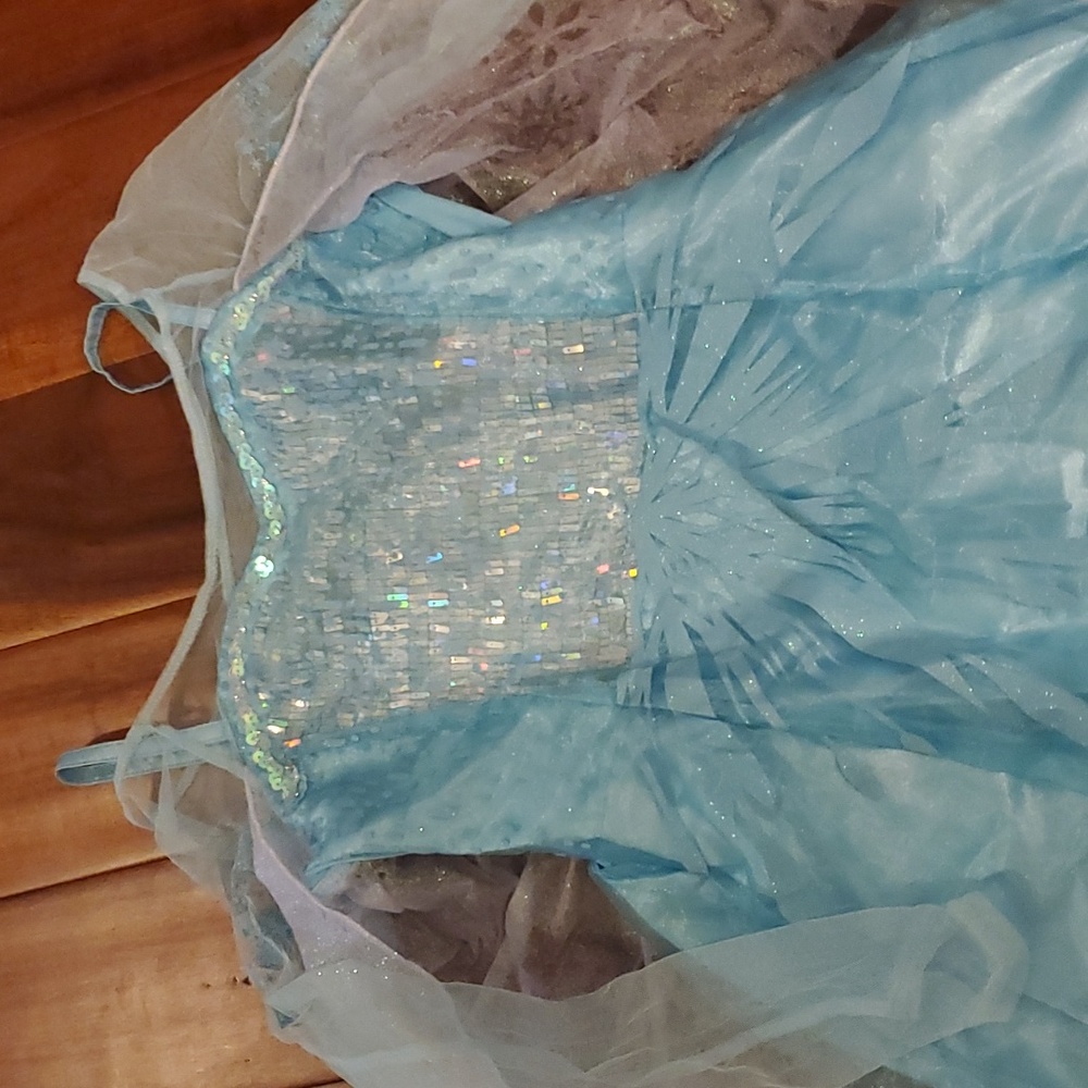 Elsa Princess dress - Picture 2 of 2